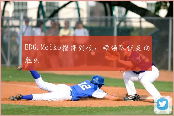 EDG.Meiko指挥到位，带领队伍走向胜利