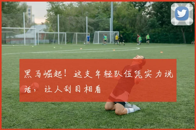 黑马崛起！这支年轻队伍凭实力说话，让人刮目相看