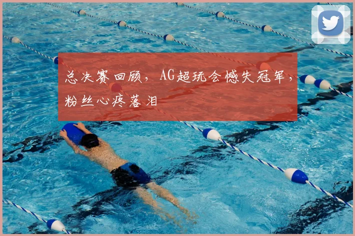 总决赛回顾，AG超玩会憾失冠军，粉丝心疼落泪