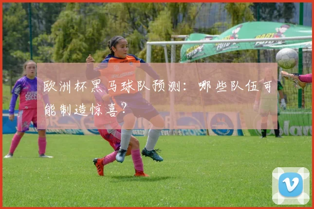 欧洲杯黑马球队预测：哪些队伍可能制造惊喜？