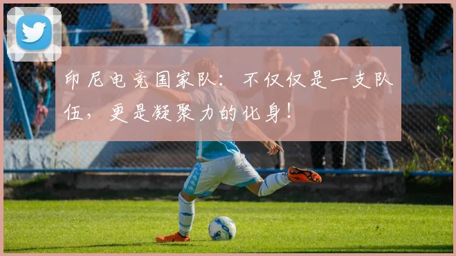 印尼电竞国家队：不仅仅是一支队伍，更是凝聚力的化身！