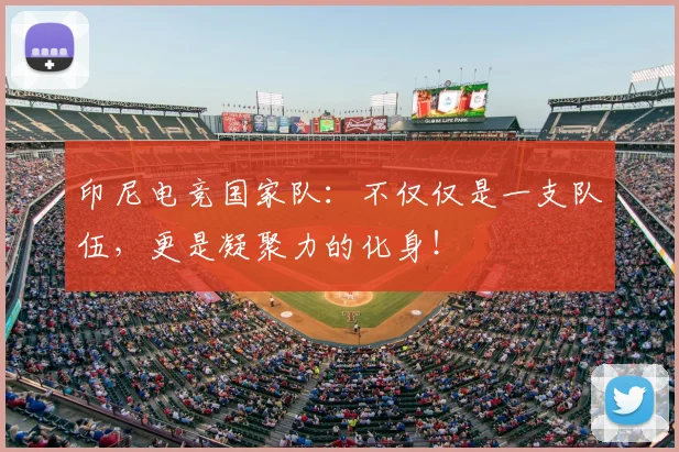 印尼电竞国家队：不仅仅是一支队伍，更是凝聚力的化身！